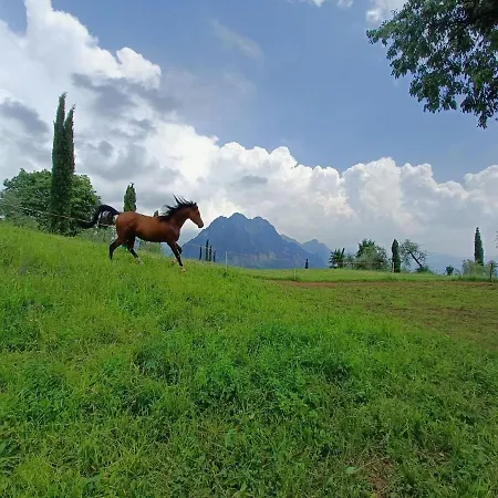 Villa Helene Solto Collina Exterior photo