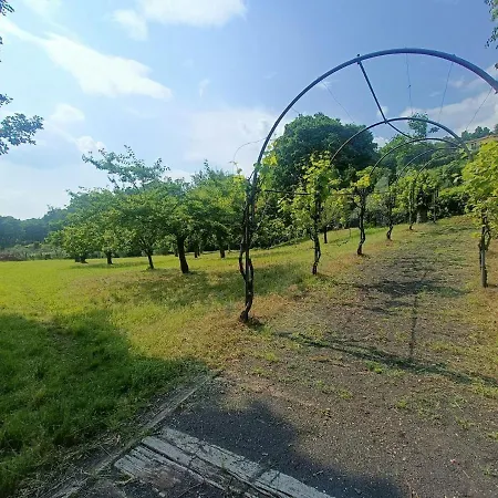 Villa Helene Solto Collina Exterior photo