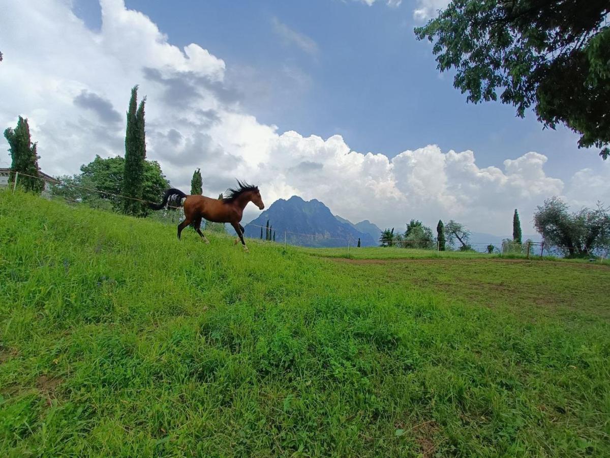 Helene Lodge Solto Collina