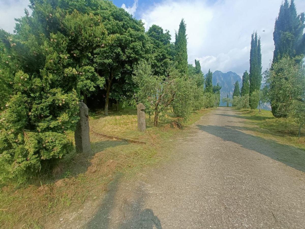 Helene Lodge Solto Collina