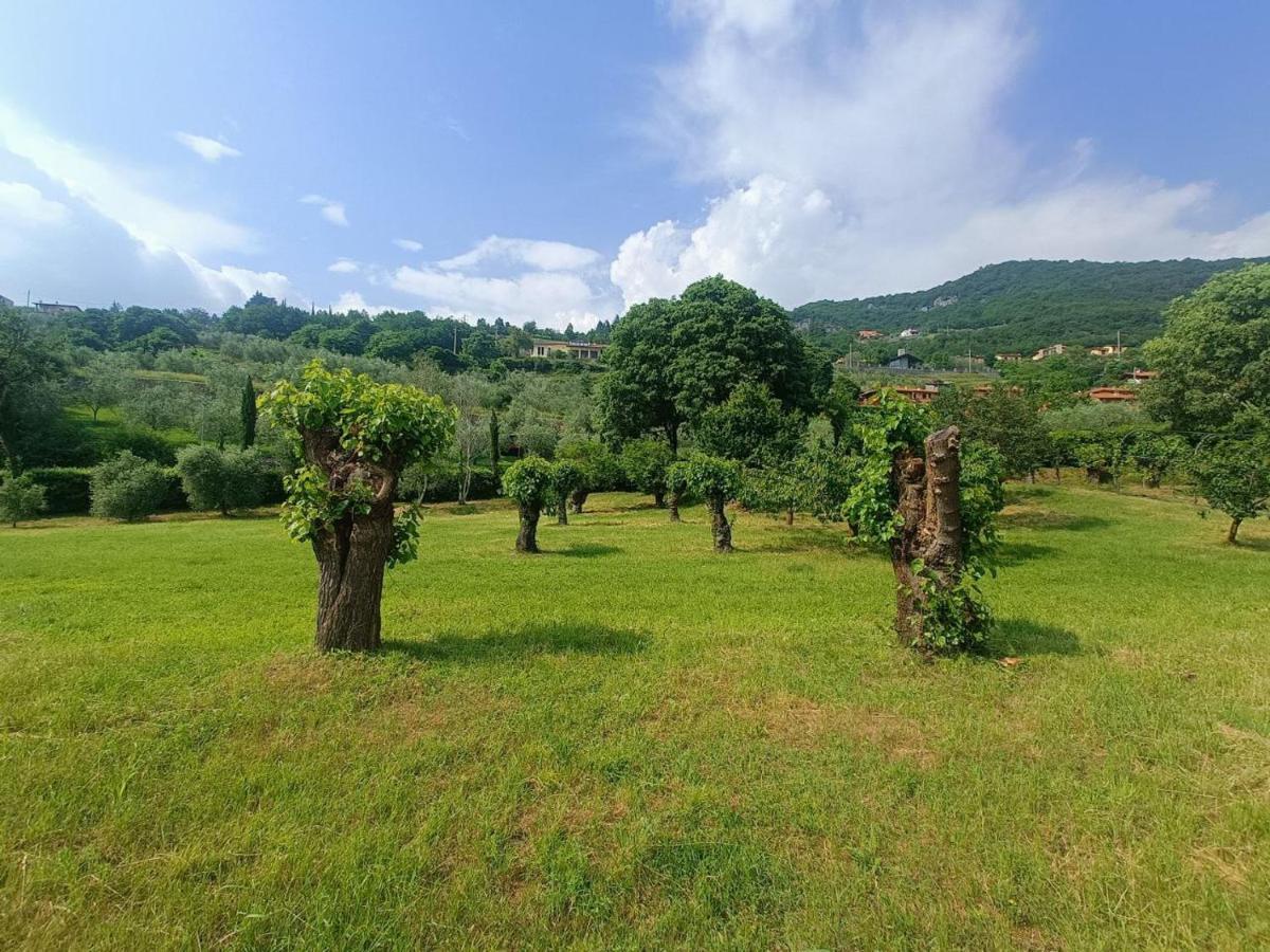 Helene * Solto Collina