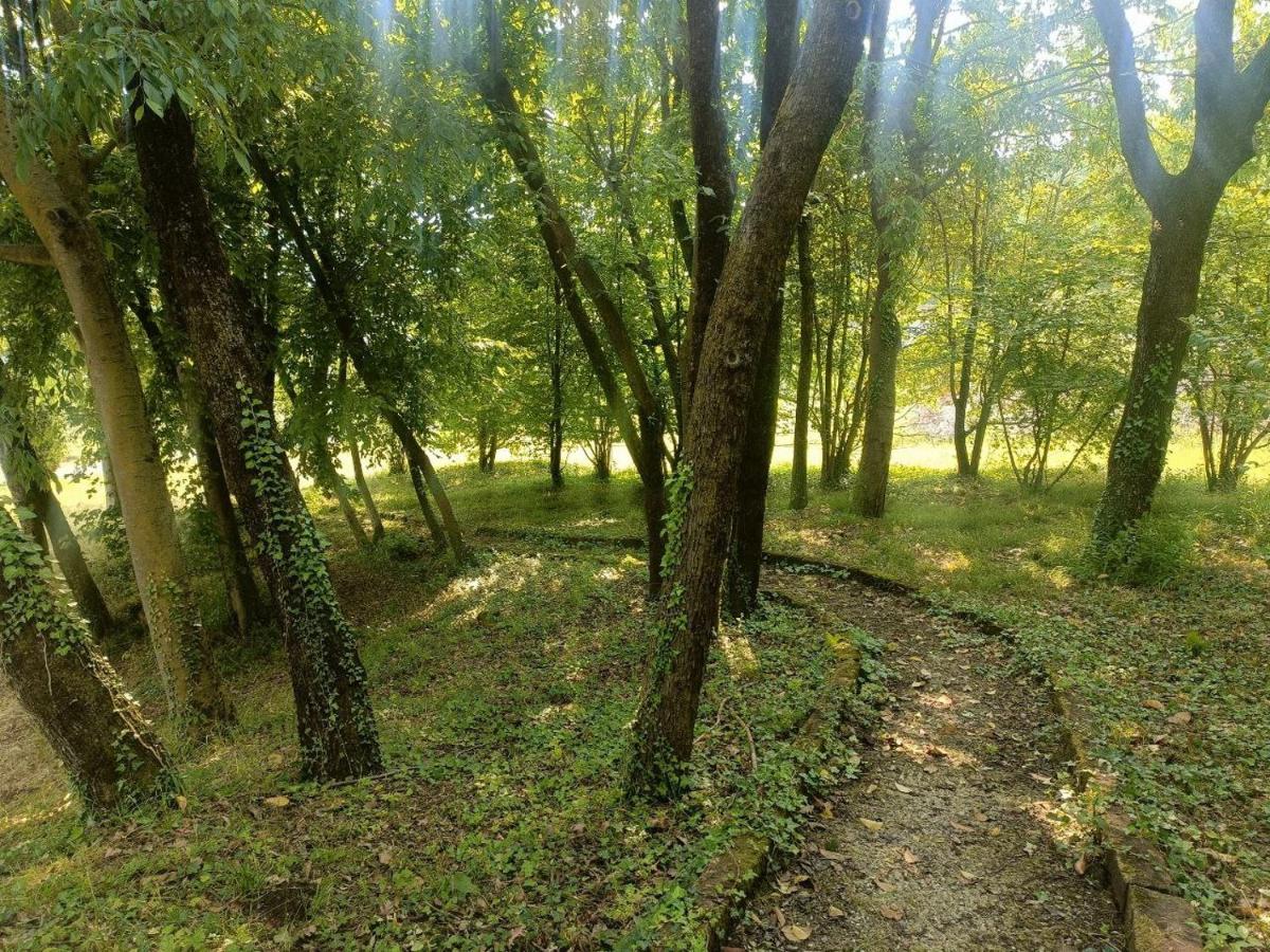 Helene Lodge Solto Collina